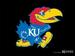 RockChalkJayhawk