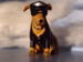 dawgpilot's Avatar