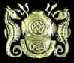 Navy Diver's Avatar
