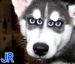 jrjr's Avatar