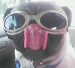 moxjett's Avatar