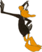Little Black Duck's Avatar