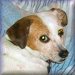 cbosch_us's Avatar