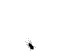 Inerratum's Avatar