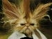 xFxLxYxExR's Avatar