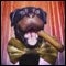 Steely Dan's Avatar
