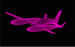 Couch-pilot's Avatar