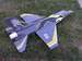 ex-racr's Avatar