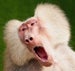ClipperBill's Avatar