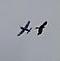 Broose27's Avatar