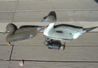 Name: db9s.jpg
Views: 1576
Size: 22.7 KB
Description: Plastic Duck Decoys...the one on the right with RC steroids.