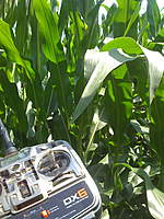 Name: Stryker Corn.jpg
Views: 292
Size: 118.9 KB
Description: 