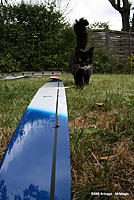 Name: Meow.jpg
Views: 223
Size: 216.8 KB
Description: Avionik with no linkage fairings.