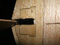 Name: dl-50 005.jpg
Views: 296
Size: 88.9 KB
Description: The vert stab split after the first day, so It got a piece of ply spliced in for strength.