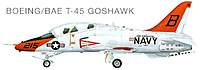 Name: T-45 Goshawk.jpg
Views: 509
Size: 40.3 KB
Description: 