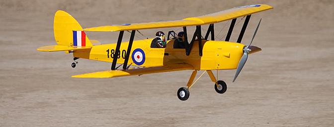 phoenix tiger moth