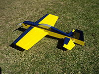Name: IMGP0735_resize.jpg
Views: 295
Size: 176.3 KB
Description: The Kalteisen KR-2, another great flying 3D plane.