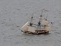 Name: Very heavy seas 12 January 2008.jpg
Views: 1757
Size: 74.8 KB
Description: Shortened sail on 12 January 2008 but heavy seas and a thrill a minute.