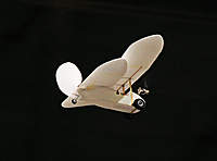 Name: DSC_0023_01.jpg
Views: 546
Size: 127.8 KB
Description: My IMA Pou de Salle Flying Flea.