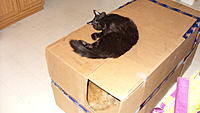 Name: Big box arrives.. 021.jpg
Views: 169
Size: 478.8 KB
Description: Well, there ya' go, not about what was in the box.  It's all about the box itself.. and who can use it best..!