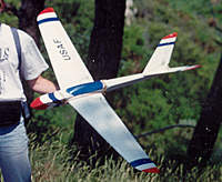 Name: USAF-Aile Volante.jpg
Views: 428
Size: 65.2 KB
Description: A glider that looks like a little Jet fighter