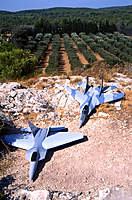 Name: F22-Mig-from high.jpg
Views: 239
Size: 80.1 KB
Description: My Mig 29 PSS and the F-22 Of my friend Stephane (PSS too) - "ready for a dogfight"