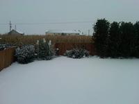 Name: 2009_10_10_snow.jpg
Views: 537
Size: 46.8 KB
Description: 