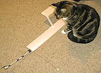Name: WhirliSam2.jpg
Views: 270
Size: 109.0 KB
Description: Though Sam the cat not convinced.