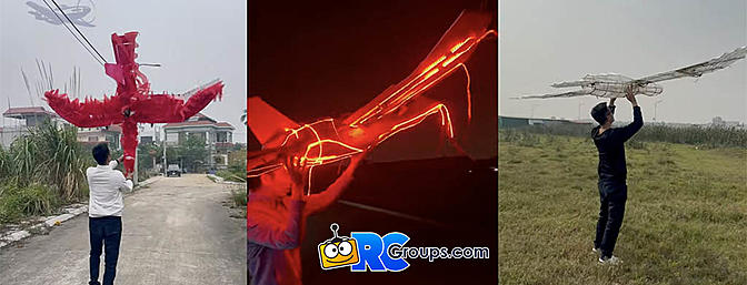 What the Heck Wednesday: Giant Flying Birds