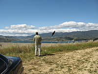 Name: wasp pic.jpg
Views: 304
Size: 94.3 KB
Description: flying my Wasp at castaic... great little plane.