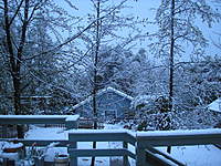 Name: P3311728.jpg
Views: 240
Size: 142.0 KB
Description: My Backyard