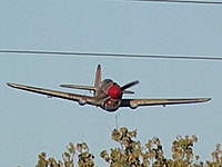 Name: RSCN4684.jpg
Views: 442
Size: 114.0 KB
Description: JMAH's GWS P-40 Kittyhawk
