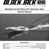Pro Boat Blackjack 26 Brushless Catamaran Review - RC Groups