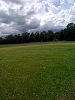 Name: my field.jpg
Views: 136
Size: 162.7 KB
Description: side field