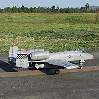 Name: IMG_3557.jpg
Views: 331
Size: 581.3 KB
Description: xplaneguy's Freewing A-10 with new pilot, painted weapons and weathered by Corsair Nut. Thanks Nut!