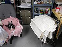 Name: 002.JPG
Views: 438
Size: 93.6 KB
Description: My pal, Ellie, overseeing the new construction project.  Note that SHE gets the softest seat in the workshop and the warm fuzzy blanket.  I get the stool under the plan sheets whenever I want to use it....