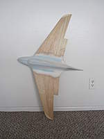 Name: IMG_1419.jpg
Views: 319
Size: 48.9 KB
Description: Sorry but i didn't took any pictures of the starting of the project ,basically i got a free wing out a Ducted fan jet and shaped and glued the fuselage together .