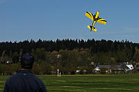 Name: NWEF May 2011 Fly-in2.jpg
Views: 53
Size: 222.3 KB
Description: another pic