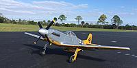 Name: Dallas Doll P-51D Mustang in GERMAN Captured Clothing4 10-17-2021.jpg
Views: 50
Size: 328.3 KB
Description: 