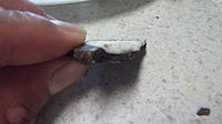 Name: DSCF3016.jpg
Views: 314
Size: 106.4 KB
Description: This picture shows that crevice. The cream is indeed embedded into a crevice.