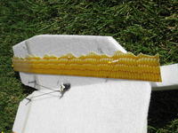 Name: IMG_2839.jpg
Views: 1977
Size: 114.5 KB
Description: This is trim for bulletin boards.  I bought it because of it's irregular edge.  Ignore the corn.