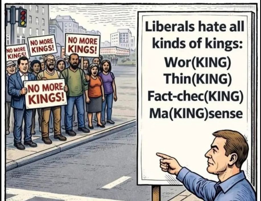 [Image: a20050693-6-dems-2779.png]