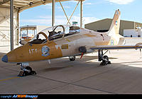 Name: uae339.jpg
Views: 342
Size: 144.9 KB
Description: Full Size used to make the Paint Scheme.