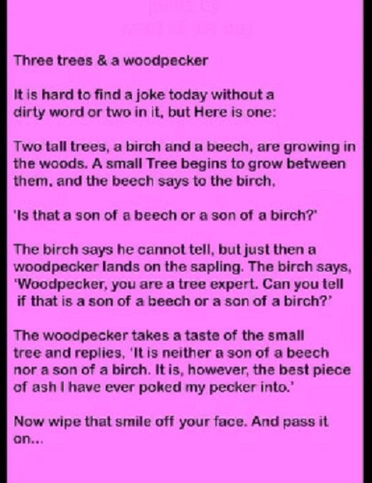 a17915607-43-woodpecker.jpg