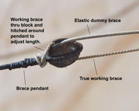 Name: Double-brace-adjustment.jpg
Views: 1343
Size: 65.9 KB
Description: 