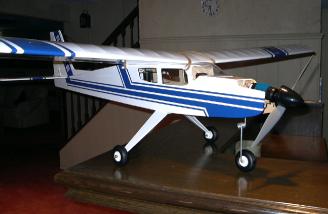 eagle 2 rc plane