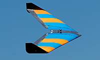 Name: DSC_6565_DxO.jpg
Views: 124
Size: 23.5 KB
Description: Henry's XR combat wing.