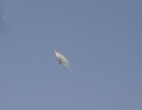 Name: DSC03178.jpg
Views: 548
Size: 22.3 KB
Description: F-22 Raptor: Vapor burst from a hard pull up.