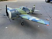 Name: 6709839.jpg
Views: 15
Size: 107.4 KB
Description: My Repainted Dynam Hellcat.. My Warbird workhorse for many years.