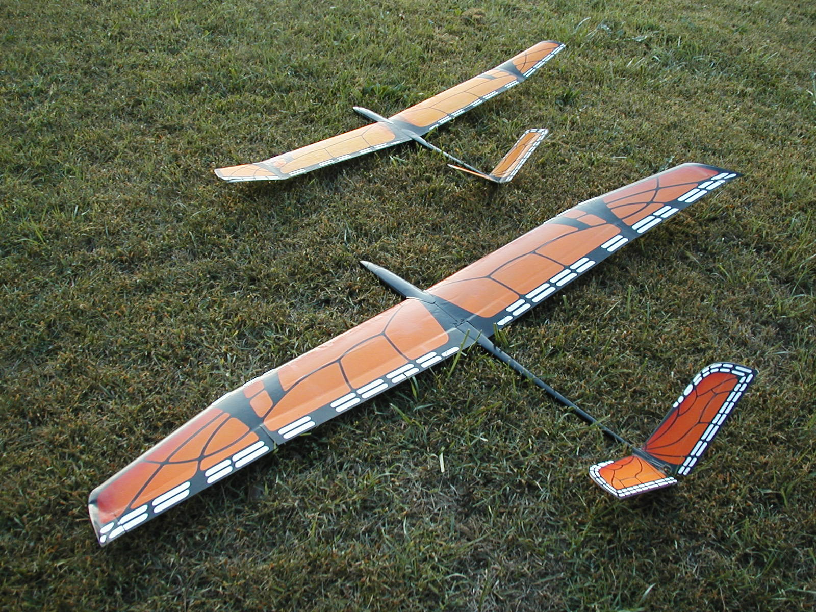 Butterfly scheme on model gliders (With images) Rc glider, Aircraft